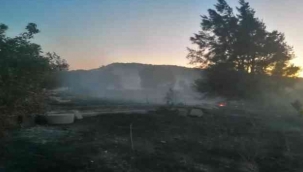 Aliağa'da otluk alanı yakan şüpheli tutuklandı