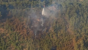 Bergama'daki orman yangını kontrol altına alındı