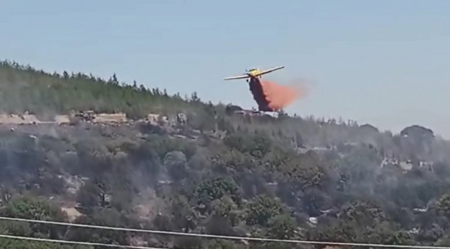 Bergama Kaşıkçı'daki Yangın Kontrol Altına Alındı