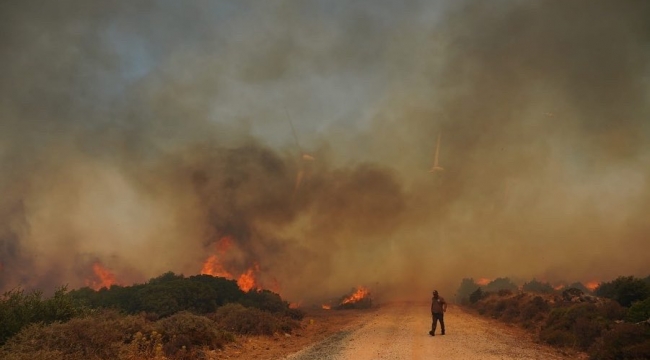 Çeşme'de makilik ve otluk alanda yangın