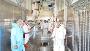 İzmir Büyükşehir Belediyesi'nin Kurban Bayramı hazırlıkları sürüyor