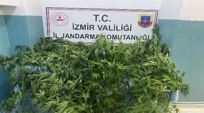 İzmir'de jandarmadan uyuşturucu operasyonu :21 şüpheli hakkında adli işlem 