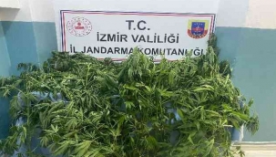 İzmir'de jandarmadan uyuşturucu operasyonu :21 şüpheli hakkında adli işlem 