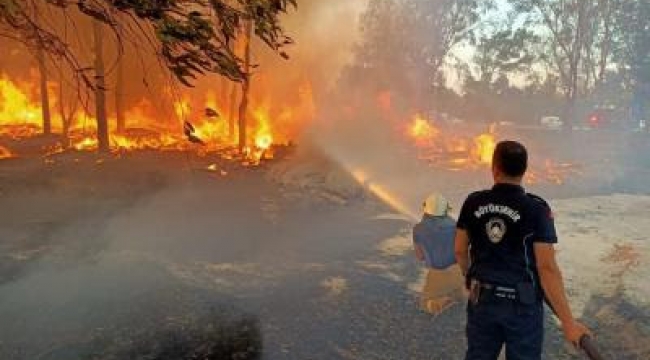 İzmir'in ormanlarını korumak için zabıta iş başında