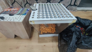 kahvehaneye kumar baskınında ceza yağdı