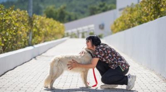 Önce tedavi ettiler sonra sahiplendiler