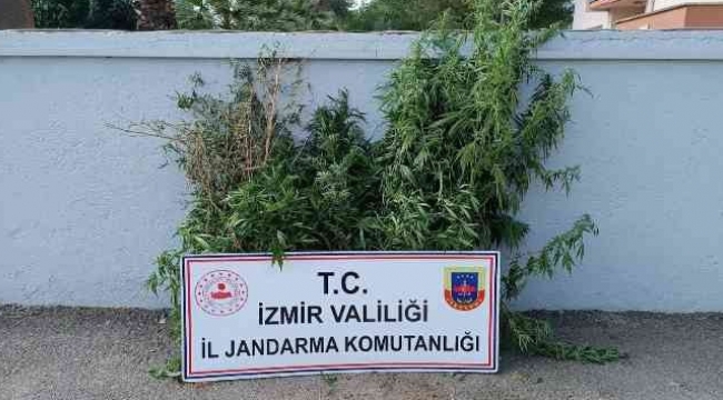 İzmir'deki uyuşturucu operasyonlarında 27 şüpheli yakalandı