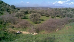 Bergama'da bir çiftçi tarımsal depo kuracaktı… Tarih çıktı!