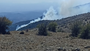 Bergama'da ormanlık alanda çıkan söndürüldü