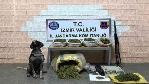 Ağaç kovukları ve parkelerin altına uyuşturucu gizlemişler