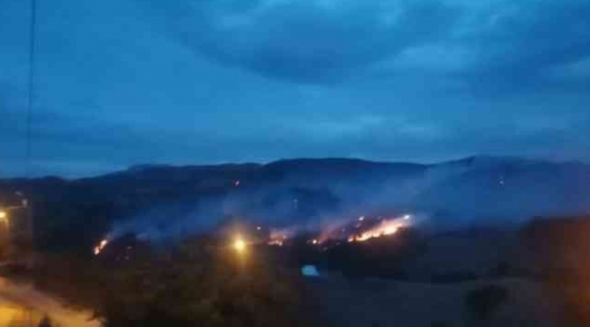 Bergama'da orman yangını kontrol altına alındı