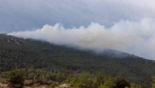 İzmir'de iki ilçede orman yangını