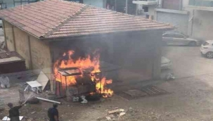 Pitbull cinsi köpeği, kulübesini ateşe vererek katletmişti