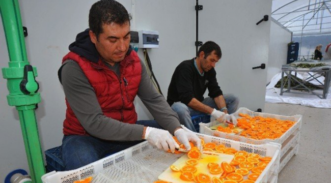 Soyer: "Küçücük mandalina üretenlere ekmek oluyor ve gelir yaratıyor, o yüzden turuncu mucize dedik"