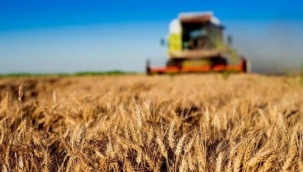 Bazı tarım ürünlerinin ihracatına ilişkin düzenleme 30 Haziran'a kadar uzatıldı