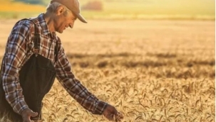 TÜİK, Tarımsal Girdi Fiyat Endeksi'ni açıkladı