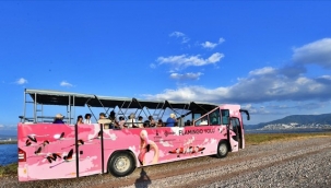 Flamingo Yolu turu 4 binin üzerinde ziyaretçi ağırladı 