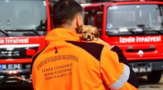 İzmirli itfaiyeci deprem bölgesinden gelen köpeğe yuvasını açtı