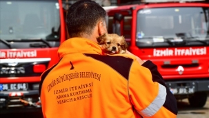 İzmirli itfaiyeci deprem bölgesinden gelen köpeğe yuvasını açtı