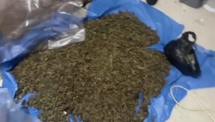 Ev değil uyuşturucu dükkanı