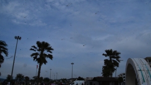 Aliağa 'da 'Harika Kalpler' 2. Uçurtma Şenliği