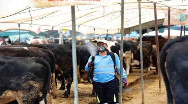 Bayraklı Belediyesi Kurban Bayramı'na hazır