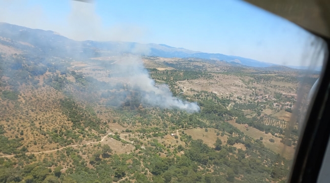 Bergama'daki orman yangınına havadan ve karadan müdahale