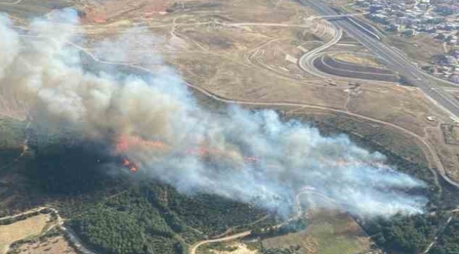 İzmir'de ormanlık alanda çıkan yangına 6 uçakla müdahale