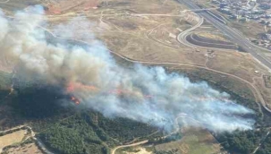 İzmir'de ormanlık alanda çıkan yangına 6 uçakla müdahale
