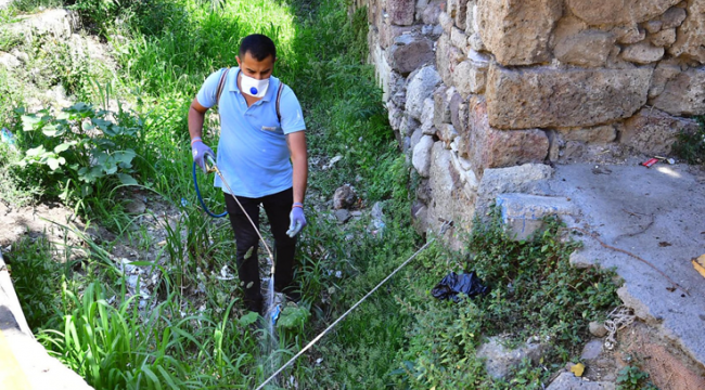 İzmir'de sivrisineklere karşı etkin mücadele