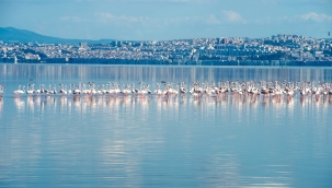 İZSU'dan temiz Körfez için tarihi adımlar
