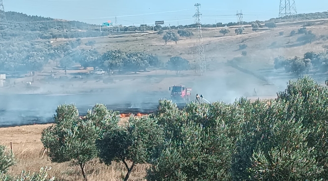 Aliağa'da buğday tarlasında çıkan yangın söndürüldü