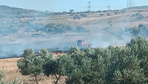 Aliağa'da buğday tarlasında çıkan yangın söndürüldü