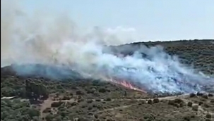 Aliağa'da korkutan yangın