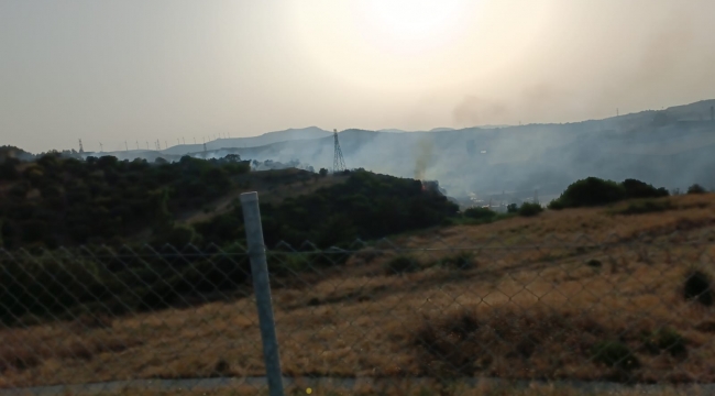 Aliağa'da makilik alanda yangın