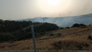 Aliağa'da makilik alanda yangın