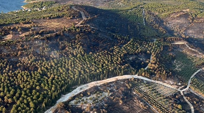  Aliağa orman yangınıyla ilgili gözaltına alınan 2 kişi serbest