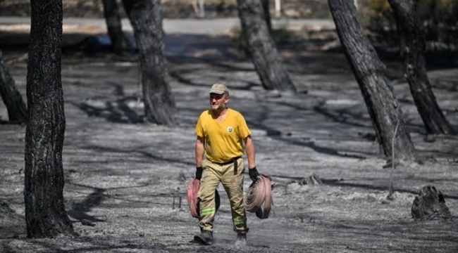 Başkan Doğruer: Ormanda yanan her canlı, canımızı yakmıştır