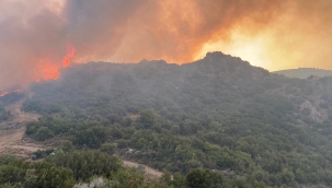 İki ilçede alevlerle mücadele sürüyor