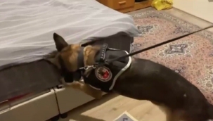 İzmir'de 7 adrese eş zamanlı uyuşturucu baskını: 4 tutuklama