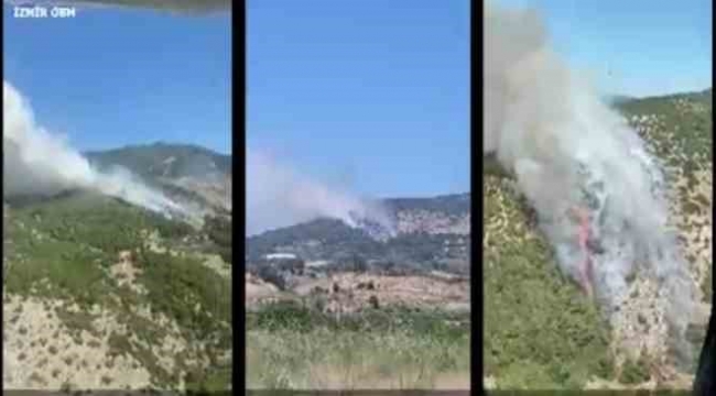 İzmir ve Manisa'da 9 orman yangını söndürüldü