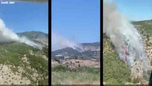 İzmir ve Manisa'da 9 orman yangını söndürüldü
