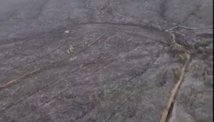  Kınık'taki orman yangını kontrol altına alındı