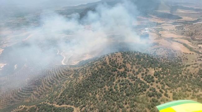 Kiraz 'da ormana sıçrayan yangın kontrol altında