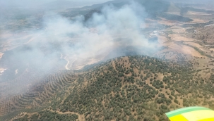 Kiraz 'da ormana sıçrayan yangın kontrol altında