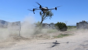 Manisa havadan ilaçlıyor