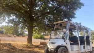 Olivelo Yaşayan Park'ta safari turları yarın başlıyor