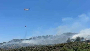 Tire'de zeytinlikte çıkan yangına havadan ve karadan müdahale