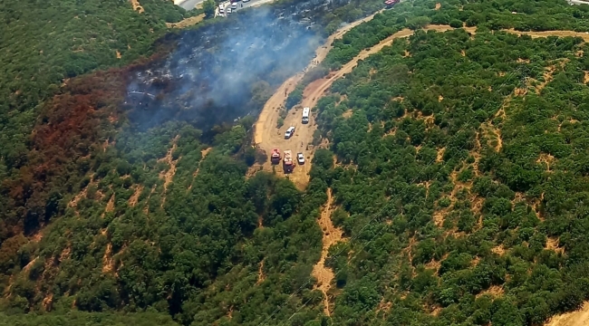 Araç yangını ormana sıçradı