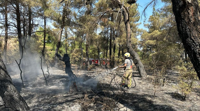 Çanakkale'deki yangına İzmir'den destek